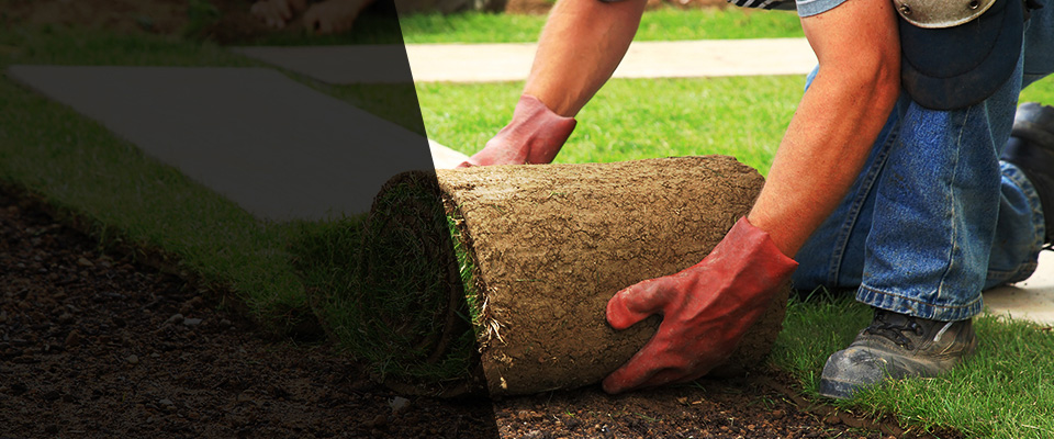 West Chester Landscapers